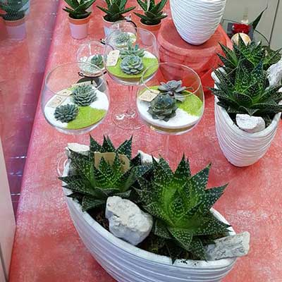 Plantes vertes à Esbly
